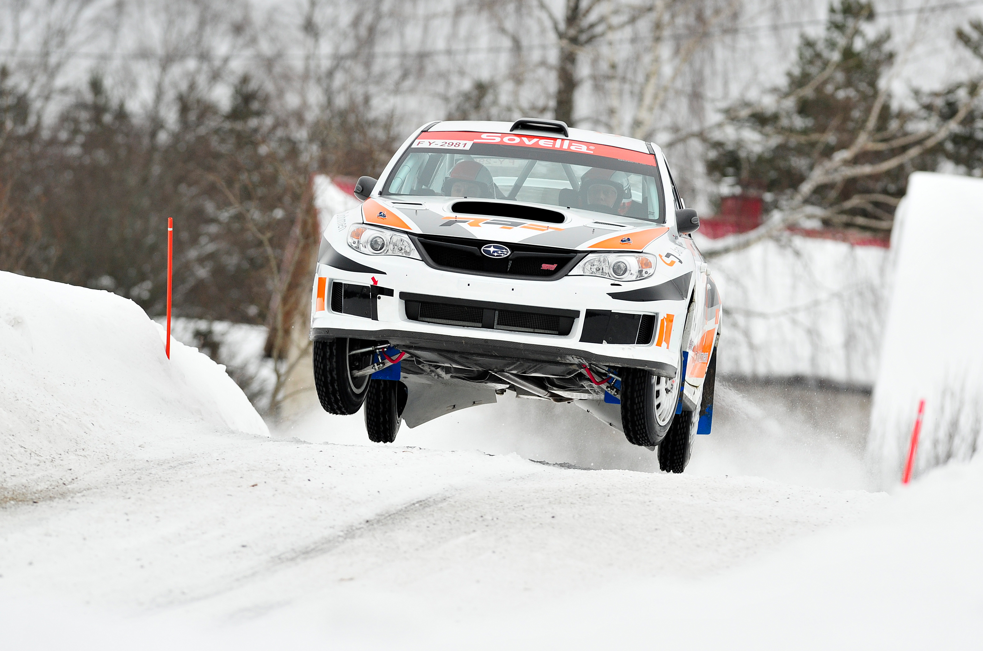 Image result for rally winter